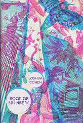 Book of Numbers by Joshua Cohen